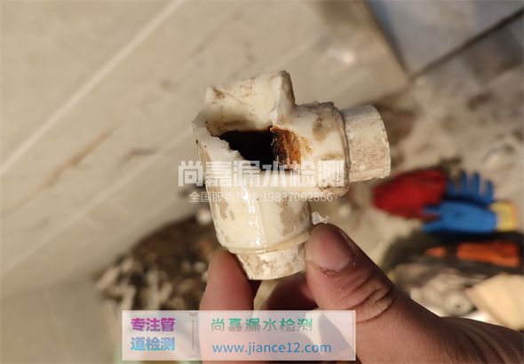 梨树引起漏水的原因有哪些？